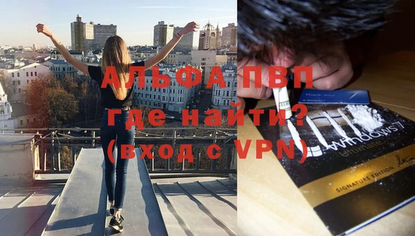 стаф Абаза