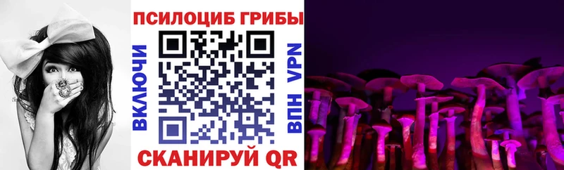 где купить наркотик  Лабытнанги  blacksprut ТОР  Псилоцибиновые грибы Psilocybine cubensis 